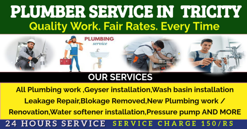 plumber-service-tricity-1-made-with-postermywall-3