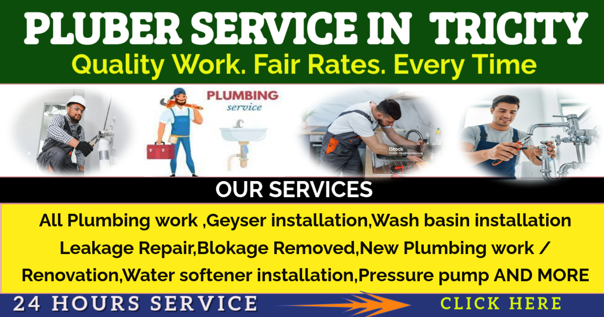 PLUMBER SERVICE TRICITY CHANGE - Made with PosterMyWall