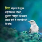 images-1